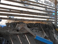 DSCN9895.JPG