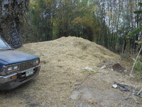 DSCN9876.JPG