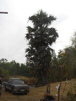 IMG_20171225_214108.jpg