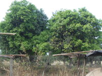 DSCN9905.JPG