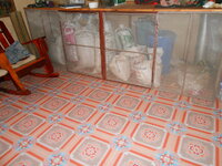 DSCN9929.JPG