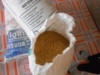 DSCN9924.JPG
