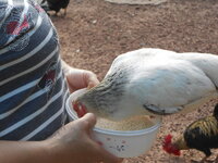 DSCN0003.JPG