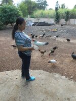 IMG_20171230_163255.jpg