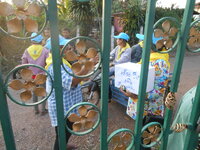 DSCN8967.JPG