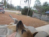 DSCN8987.JPG