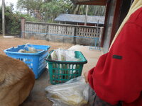 DSCN8991.JPG