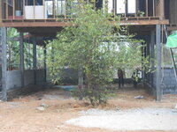 DSCN9002.JPG