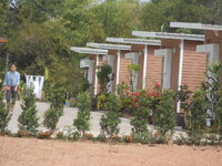 DSCN9033.JPG