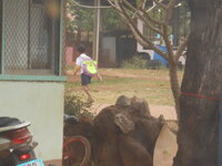 DSCN8984.JPG