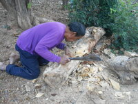 DSCN9008.JPG