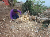 DSCN9012.JPG