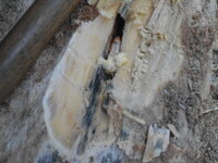 DSCN9009.JPG