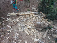 DSCN9013.JPG