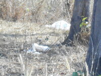 DSCN9061.JPG