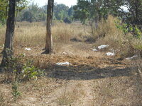 DSCN9060.JPG