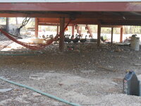 DSCN9053.JPG