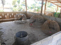 DSCN9055.JPG