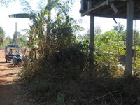 DSCN9247.JPG