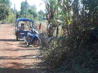 DSCN9246.JPG