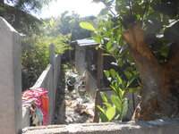 DSCN9245.JPG