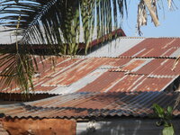 DSCN9249.JPG
