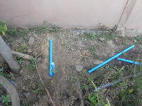 DSCN9304.JPG