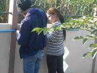 DSCN9291.JPG