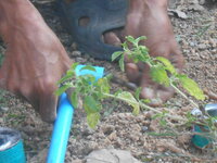 DSCN9315.JPG