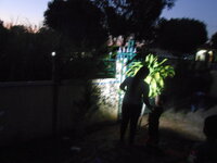 DSCN9330.JPG