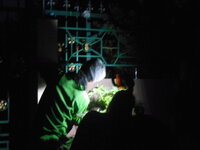 DSCN9333.JPG