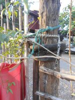 IMG_20180118_213651.jpg