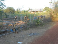 DSCN9314.JPG