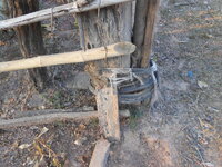 DSCN9310.JPG
