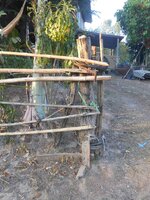 IMG_20180118_213736.jpg