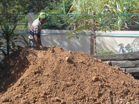 DSCN9358.JPG