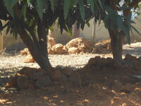 DSCN9357.JPG