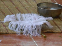 DSCN9362.JPG