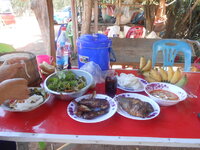 DSCN9371.JPG