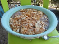 IMG_20210320_113128.jpg