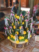 IMG_20180119_224806.jpg