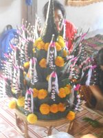 IMG_20180119_224824.jpg