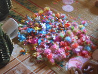 DSCN9378.JPG