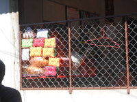 DSCN9387.JPG