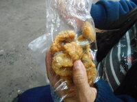 DSCN0066.JPG