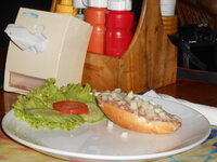 DSCN0204.JPG