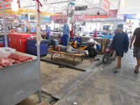 DSCN8347.JPG