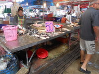 DSCN8348.JPG