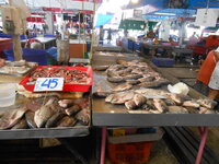 DSCN8349.JPG