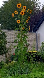 20230914_122708.jpg